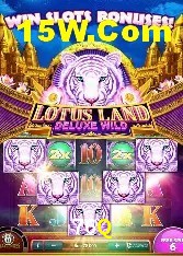 Recursos de Bônus 76Q